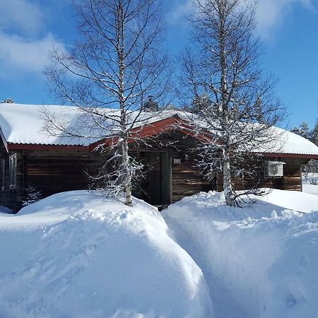 Saelens Bed & Breakfast Apartments Экстерьер фото
